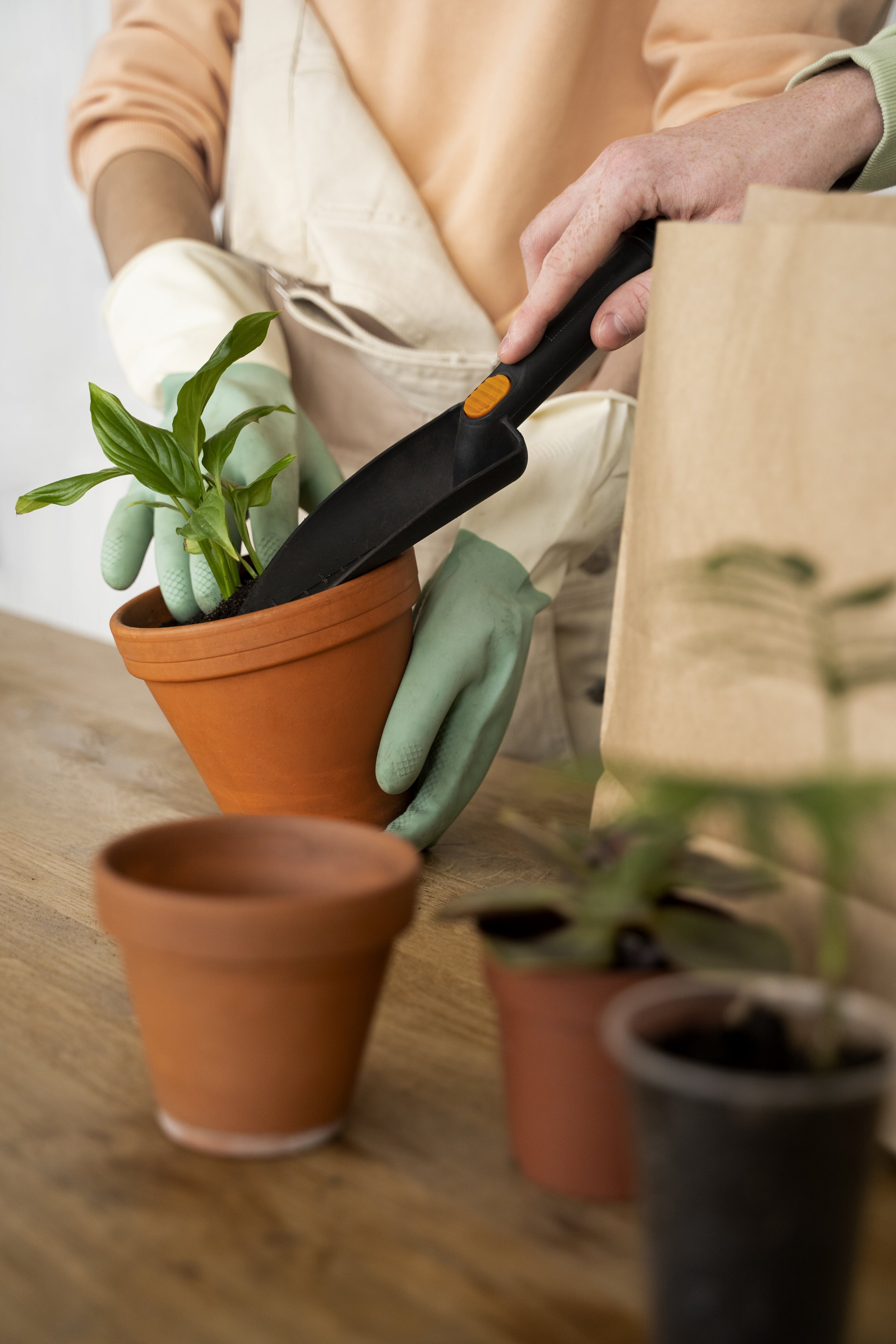 🌿 Hoe verpot je een plant stap voor stap?