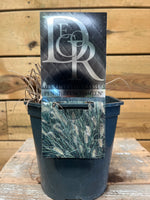 Pennisetum 'Hameln' etiket